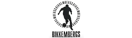 Partner Logo